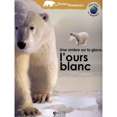 Une Ombre Sur La Glace - L'ours Blanc