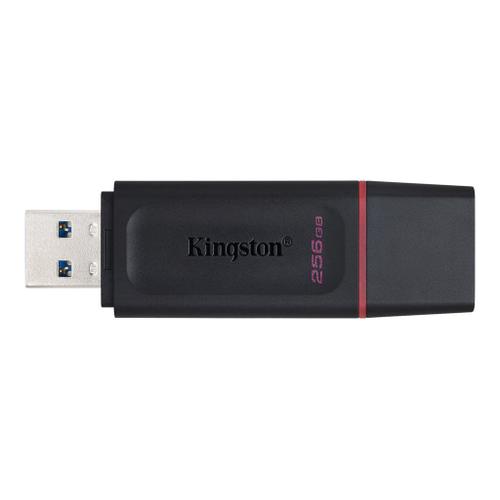 Kingston DataTraveler Exode - Clé USB - 256 Go - USB 3.2 Gen 1 - noir/rose