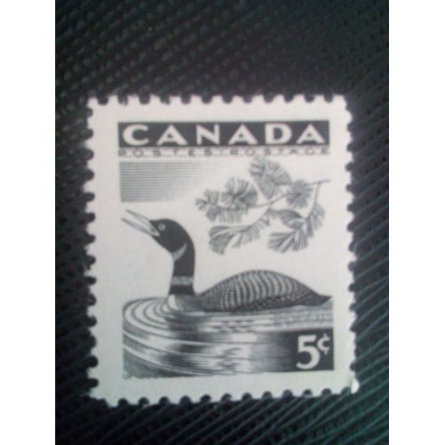 Timbre Canada Yt 296 Plongeon À Bec Jaune (Gavia Adamsii) 1957 ( 020505 )