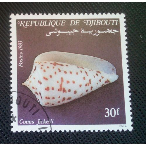 Timbre Djibouti Yt 570 Coquillages De La Mer Rouge, Le Cône De Jickeli (Conus Jickelli) 1983 ( 040505 )