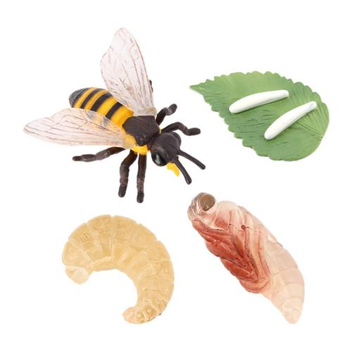 T TOOYFUL Enfants Nature Insectes Miel Abeille Cycle de Croissance Playset éducation cognitif biologie Jouets à thème fête 