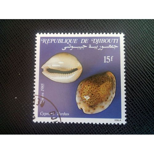 Timbre Djibouti Yt 610 Coquillages Trush Cowry (Cypraea Turdus) 1985 ( 040505 )