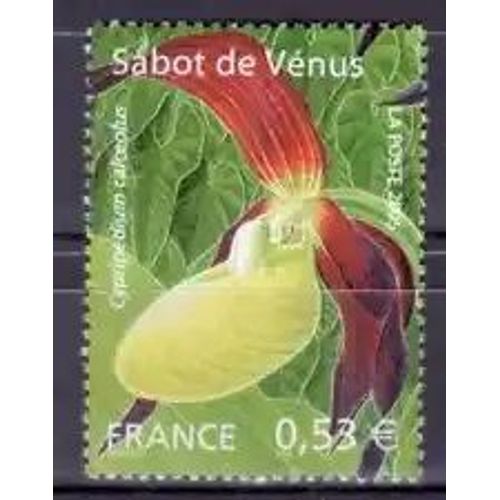 Timbre France 2005 Neuf ** Yt N° 3764 Orchidée Sabot Vénus