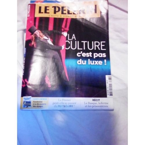 Le Pèlerin 7281