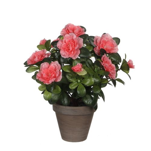 Azalea Artificielle Pêche En Pot H27