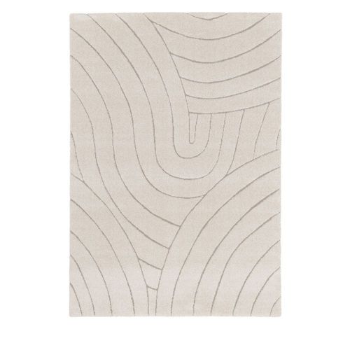 Tapis Contemporain À Motif Organique - 120 Cm X 170 Cm