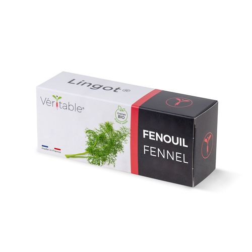 Lingot Fenouil Bio Pour Potager Véritable