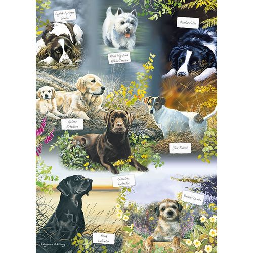 Man's Best Friend - Puzzle 1000 Pièces