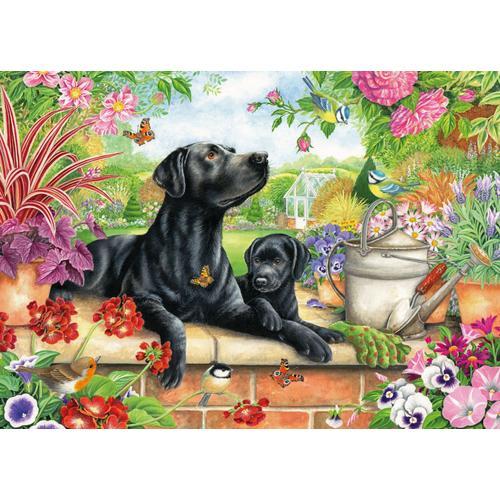 Black Labrador - Puzzle 1000 Pièces