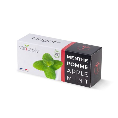 Lingot Menthe Pomme Pour Potager Véritable
