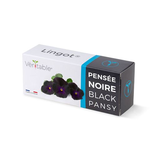 Lingot Pensée Noire Pour Potager Véritable