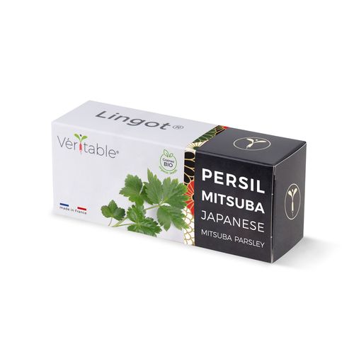 Lingot Persil Japonais Mitsuba Bio Pour Potager Véritable