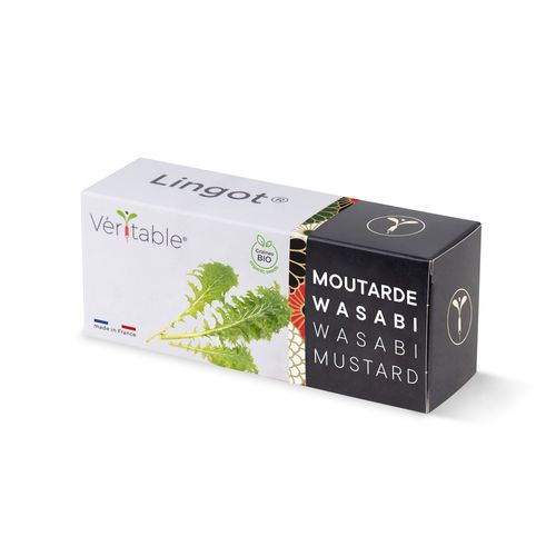 Lingot Moutarde Wasabi Bio - Recharge Prête À L'emploi
