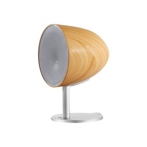 Altec Lansing Epsilonia - Enceinte sans fil Bluetooth - Argent