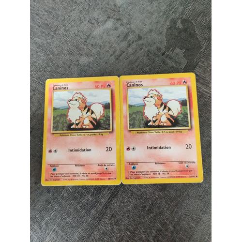 Lot De 2 Cartes Pokemon Caninos