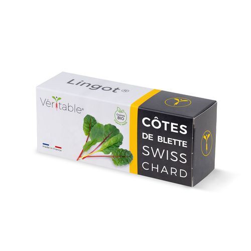 Lingot Côtes De Blettes Bio Pour Potager Véritable