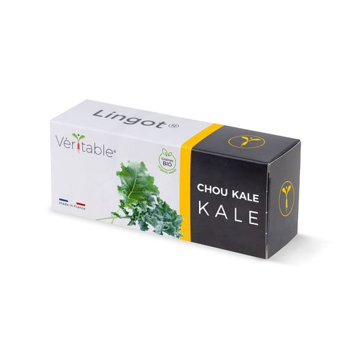 Lingot Chou Kale Bio Pour Potager Véritable