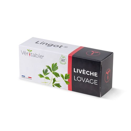 Lingot Livèche Bio Pour Potager Véritable
