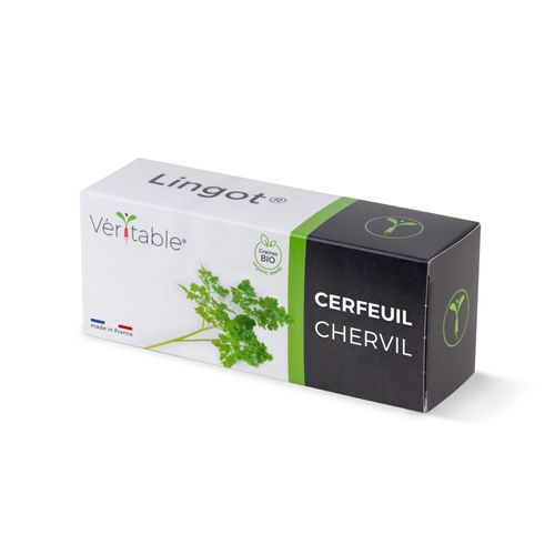 Lingot Cerfeuil Bio Pour Potager Véritable