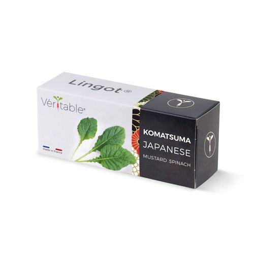 Lingot Komatsuna Pour Potager Véritable