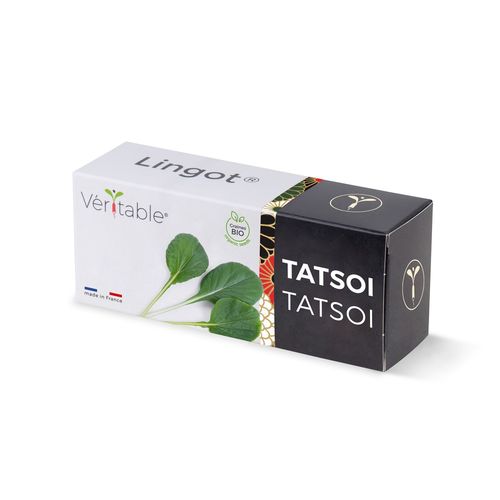 Lingot Tatsoi Bio Pour Potager Véritable
