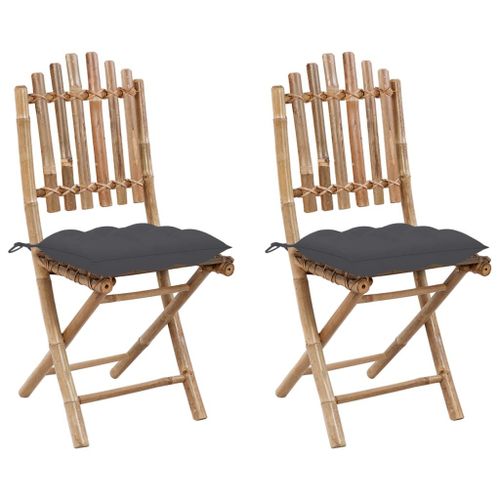 Vidaxl Chaises Pliables De Jardin 2 Pcs Avec Coussins Bambou