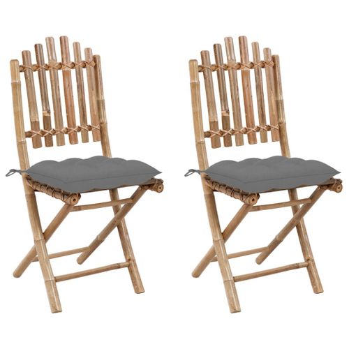 Vidaxl Chaises Pliables De Jardin 2 Pcs Avec Coussins Bambou