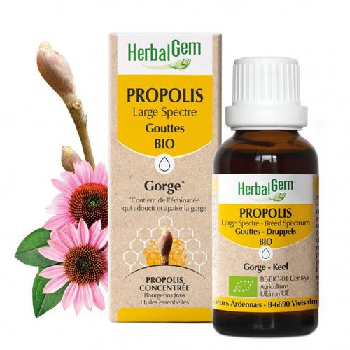 Propolis Large Spectre Gouttes Bio 15ml 