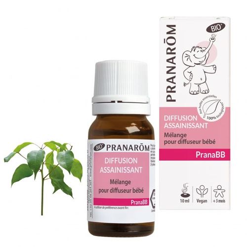 Diffusion Assainissant Pranabb 10 Ml 