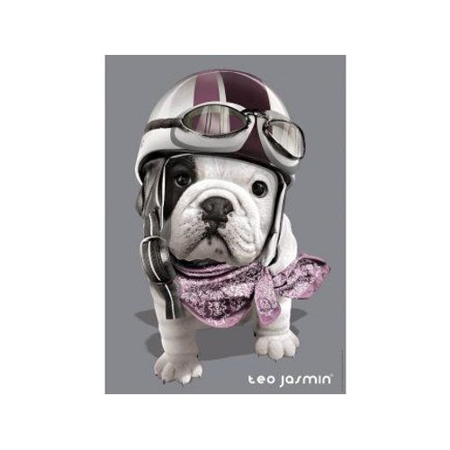 Puzzle Adulte Chien Teo Jasmin - 1000 Pieces - Collection Animaux Photo D Art