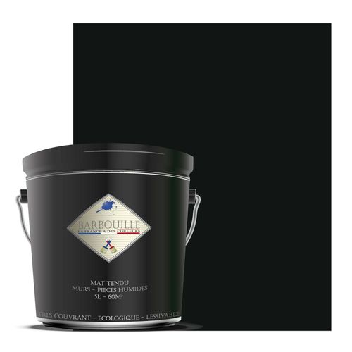 Peinture lessivable acrylique mat  murs et plafonds - 5 ltr Gris & Noir - Maléficio