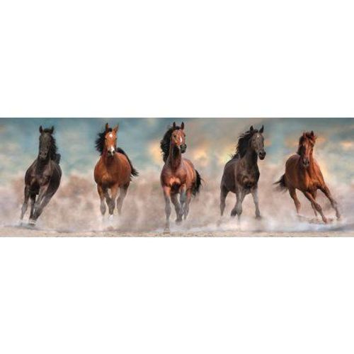 Puzzle Adulte : 5 Chevaux Qui Courent Au Galop - 1000 Pieces - Collection Animaux