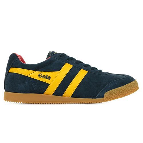 Gola Harrier