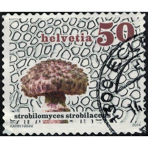 Suisse 2014 Oblitéré Rond Used Champignon Strobilomyces Strobilaceus Bolet Pomme De Pin Su