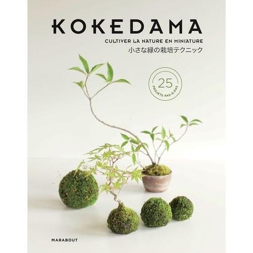 Ateliers Kokedama - Mini-Bonsaïs & Autres Sculpture De Mousse - Comment Cultiver La Verdure En Miniature ?