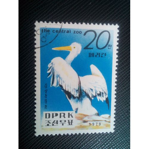 Timbre Coree Du Nord Yt 1546 Pélican De Dalmatie (Pelecanus Crispus) 1979 ( 10605 )