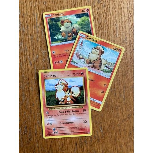 (310) 3x Caninos (Pokemon)