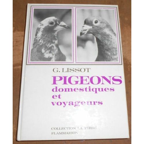 Pigeons Domestiques Et Voyageurs