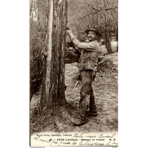 Cpa Type Landais - Resinier Au Travail 1920