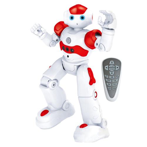 modèle de Jouet dapprentissage précoce Tomasa Robot télécommandé avec détection de Geste Jouet RC pour Cadeau Fille garçon garçon 