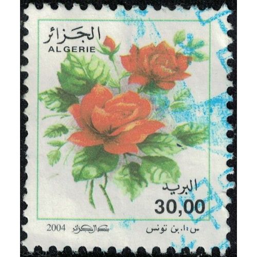 Algérie 2004 Oblitéré Used Fleurs Roses Série Courante Rosa Odorata 30 Dinars Su