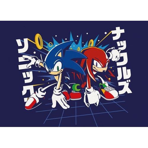 Canevas imprimer Sonic et Knuckles=1805 Impression sur toile DIY installer 40x50cm