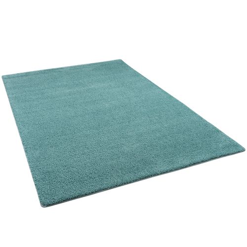 Snapstyle Palace - Tapis Shaggy À Poils Longs Vert Menthe 100x100 Cm