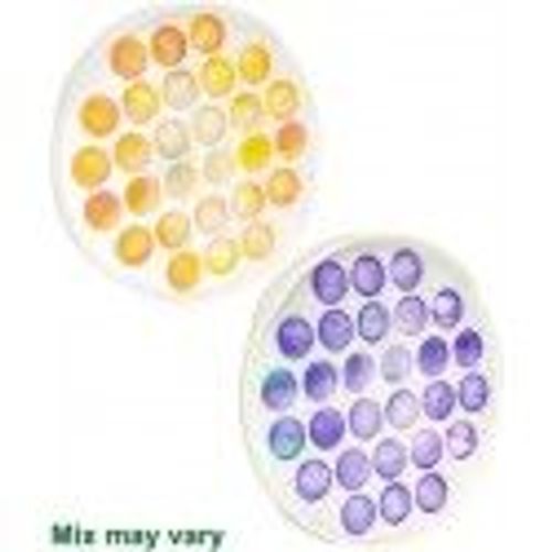 Magic Pop It Game De Luxe Round 2 Assortis 13cm