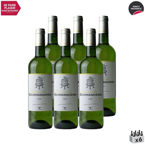 Les Frères Moine Chenin Blanc X6