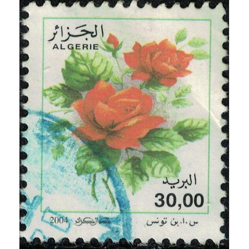 Algérie 2004 Oblitéré Used Fleurs Roses Série Courante Rosa Odorata 30 Dinars Su