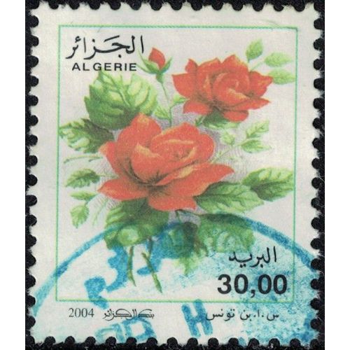 Algérie 2004 Oblitéré Used Fleurs Roses Série Courante Rosa Odorata 30 Dinars Su