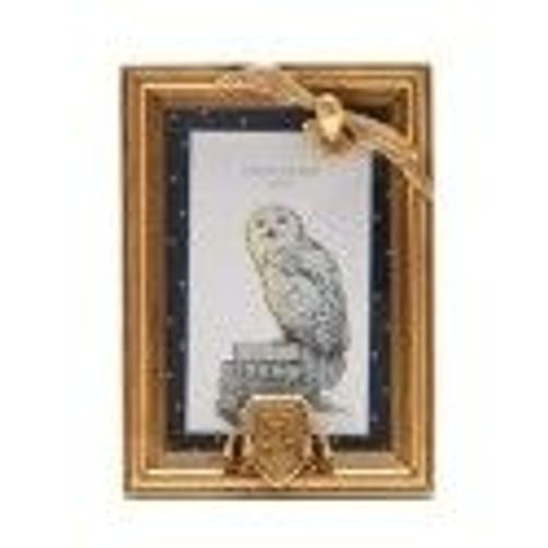 Warner Bros Harry Potter Cadre Photo Doré Hedwige