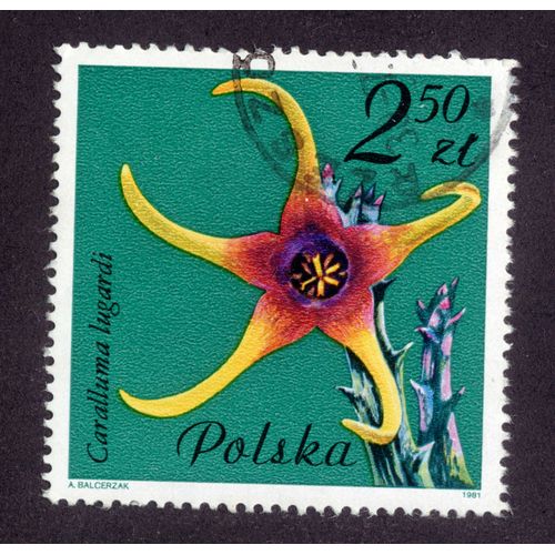 Timbre Polska.Caralluma Lugardi.2,50 Zl.1981.