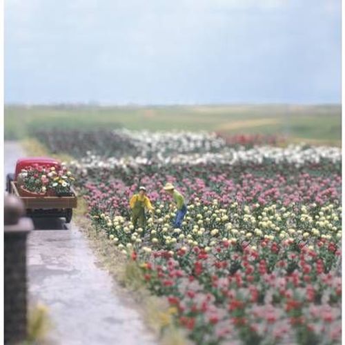 Roses Busch 1205 H0-Busch